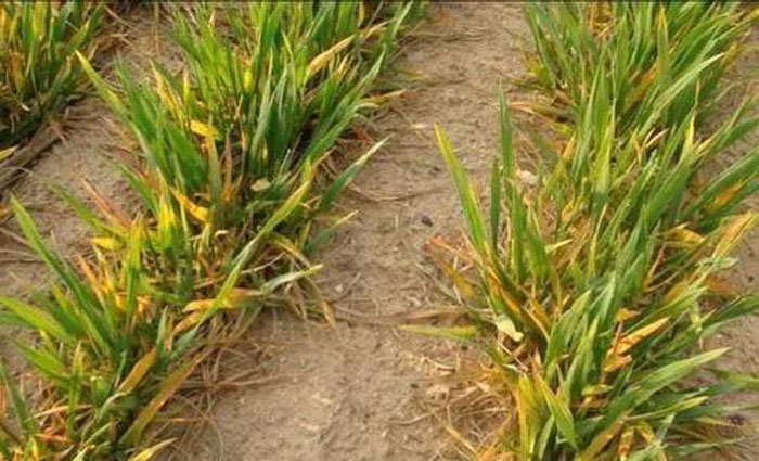 u=235325337,1967392623&fm=26&gp=0