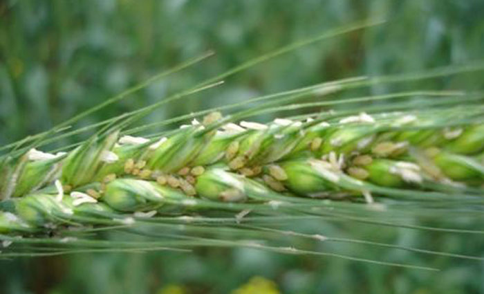 u=3629565894,3141002730&fm=26&gp=0