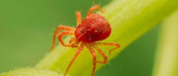 u=2657509049,4231310127&fm=26&gp=0