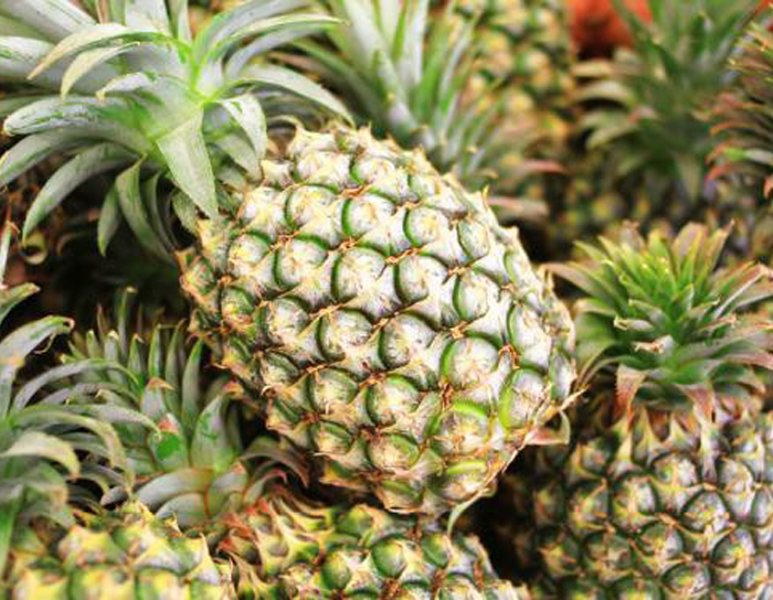 u=2309390607,1094732754&fm=26&gp=0 u=2309390607,1094732754&fm=26&gp=0