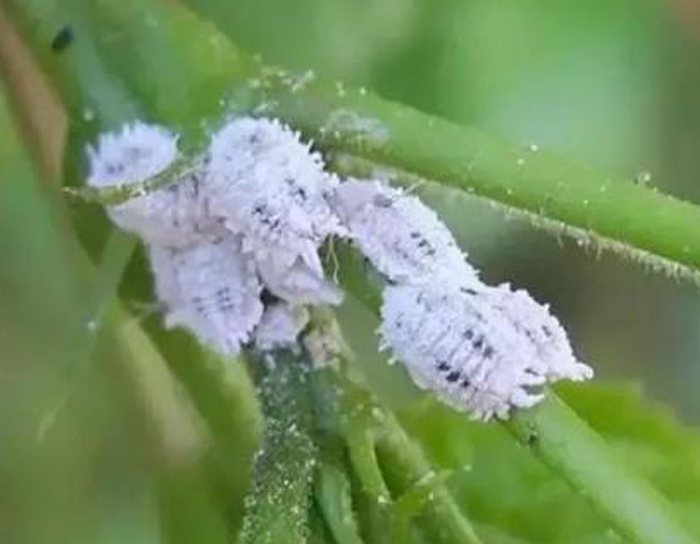 u=913755947,3091948610&fm=26&gp=0 u=913755947,3091948610&fm=26&gp=0