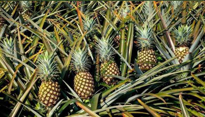 u=3012537210,2383104&fm=11&gp=0 u=3012537210,2383104&fm=11&gp=0