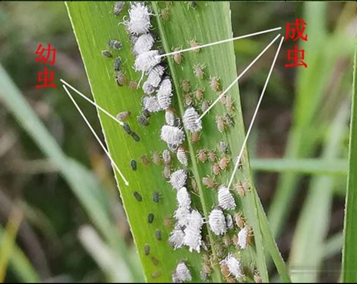 u=987484300,1459720589&fm=26&gp=0 u=987484300,1459720589&fm=26&gp=0