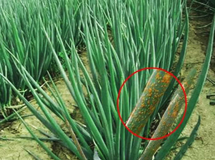 u=4104079330,757433120&fm=26&gp=0