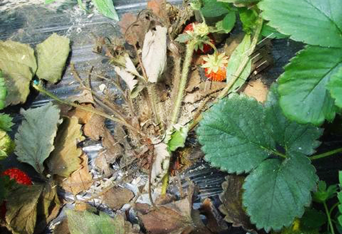 u=574561500,3817202609&fm=26&gp=0