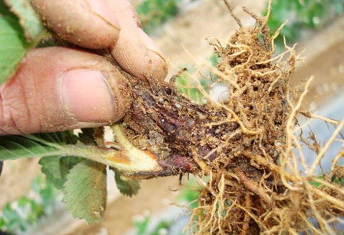 u=2387461591,1098633787&fm=15&gp=0