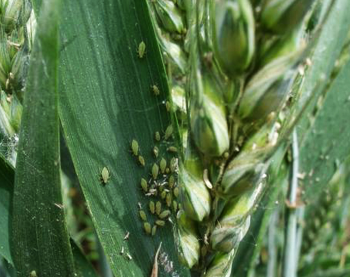 u=4050834059,1719853168&fm=26&gp=0