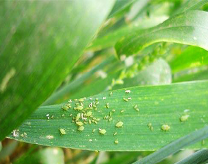 u=1760080720,2265589575&fm=26&gp=0