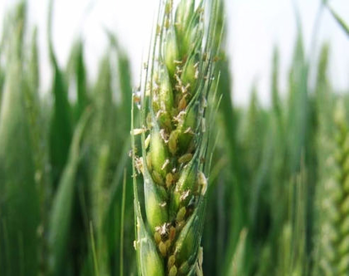 u=1155850974,2080349202&fm=26&gp=0