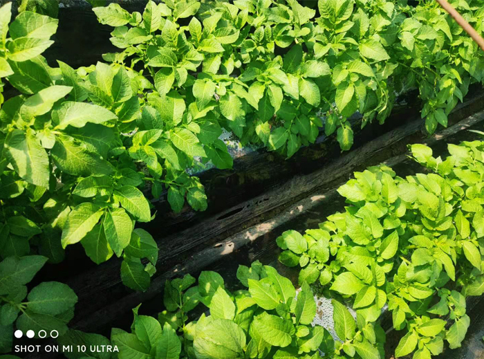 e993fe23ae48230fcd388534ba5dc02