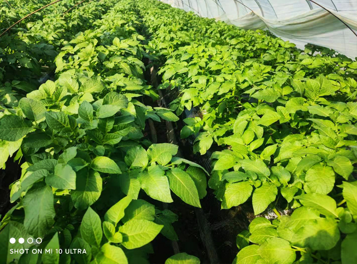 cb94b75e610873ceeb9d25513c025bd