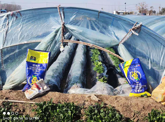 2b749dfec9ae41ba65c31c9e2ef5c50