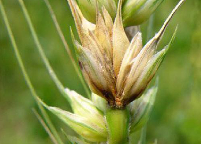 u=544786865,4264635657&fm=26&gp=0