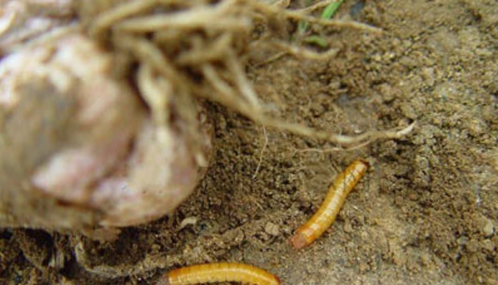 u=1061200177,265118136&fm=26&gp=0