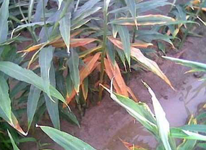 u=2533727210,656100663&fm=26&gp=0