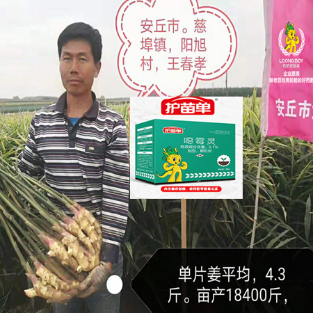 未标题-2.jpgs'd's'w'w