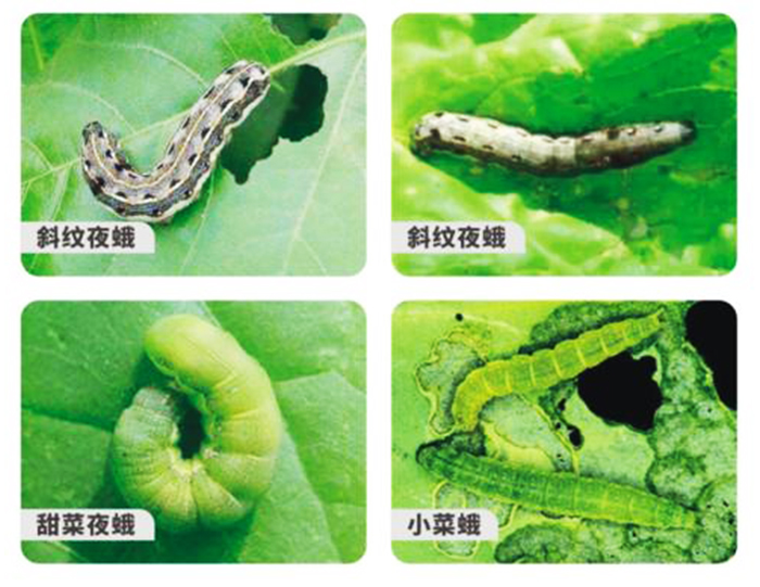 u=3143102932,1088392374&fm=26&fmt=auto&gp=0