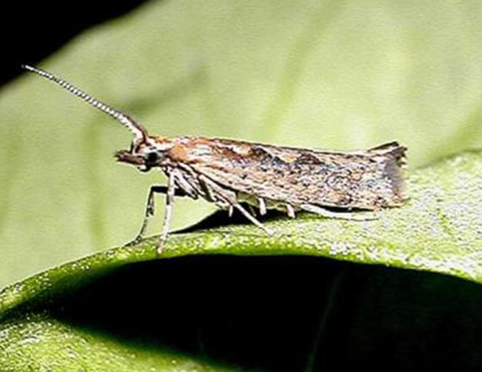 u=3075612576,1692109822&fm=26&fmt=auto&gp=0