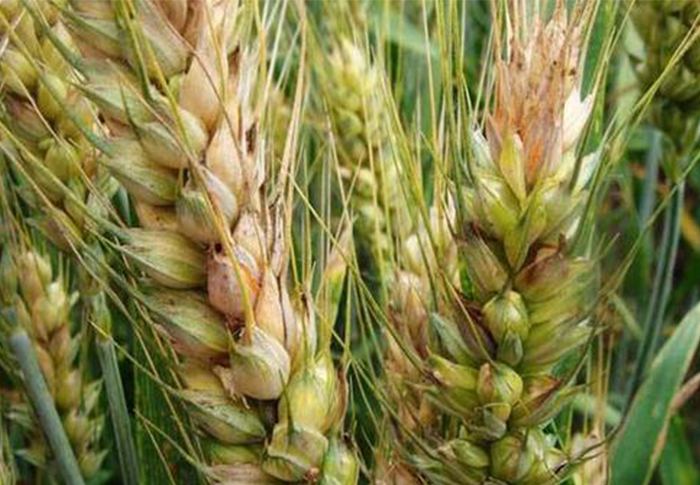 u=1439742146,5105868&fm=26&fmt=auto&gp=0