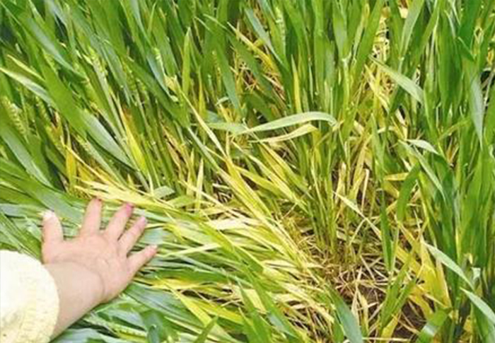 u=1808614943,343934662&fm=26&fmt=auto&gp=0