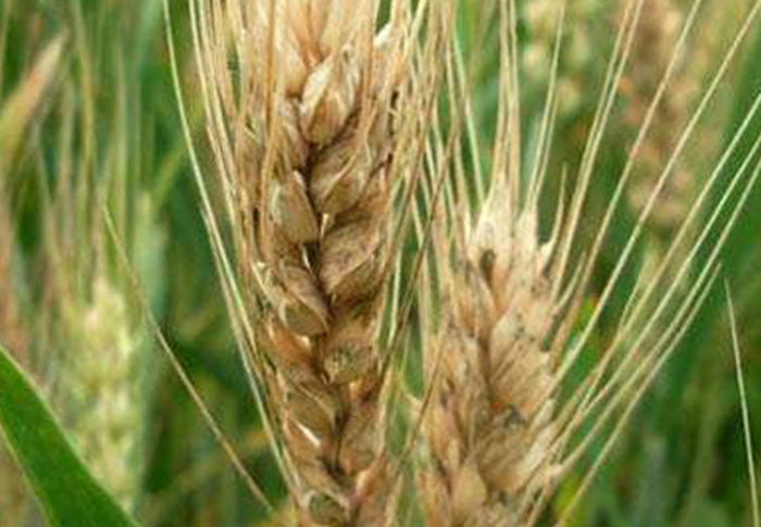 u=2690259340,3120211071&fm=26&fmt=auto&gp=0