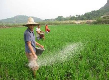 u=1768651019,3498746967&fm=26&gp=0