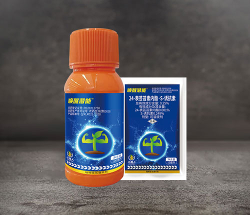 调节剂-唤醒潜能